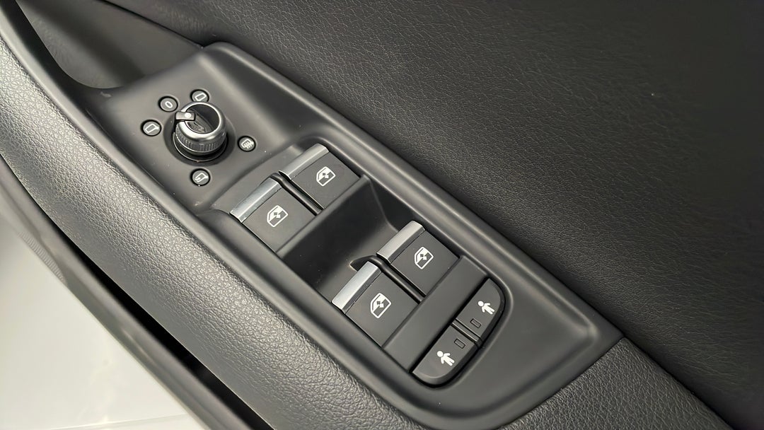Drivers Side Door Panel Controls