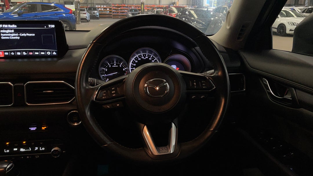 Steering Wheel Close-up