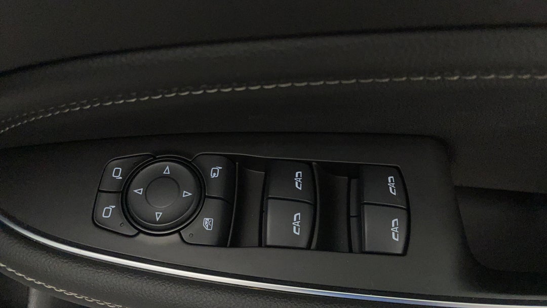 Drivers Side Door Panel Controls