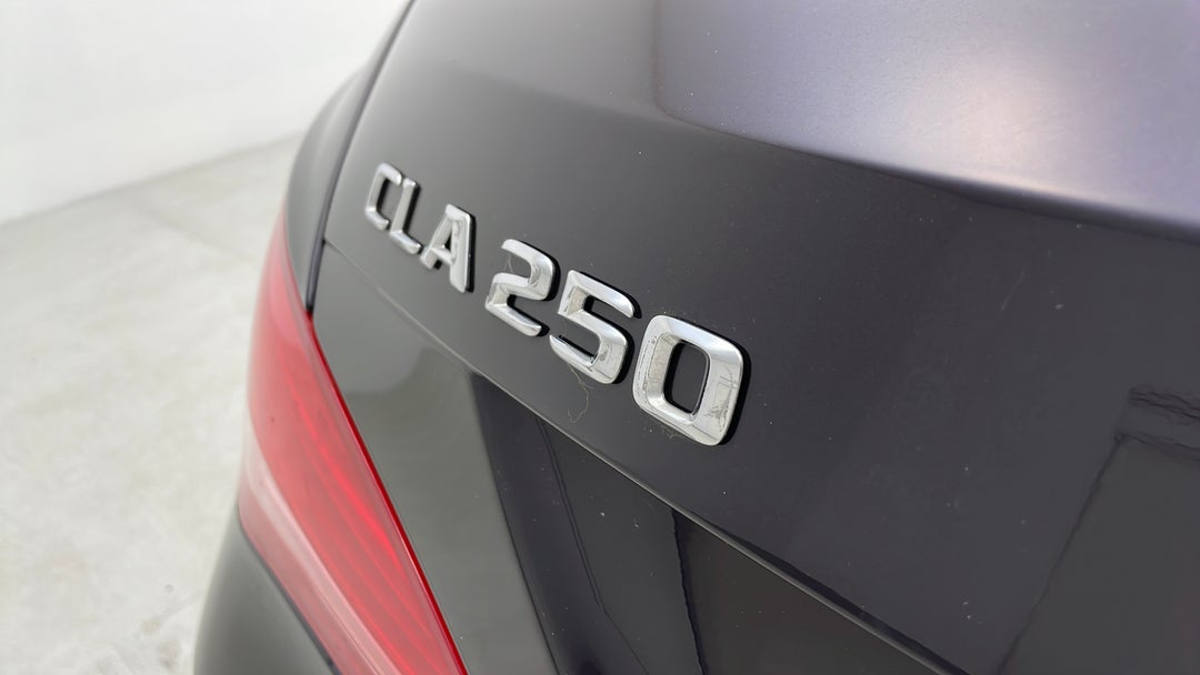 Badge (Boot Left Side)