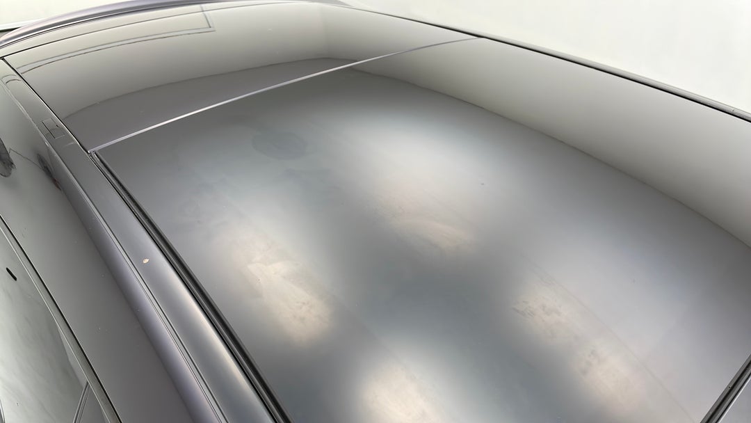 Roof/Sunroof View
