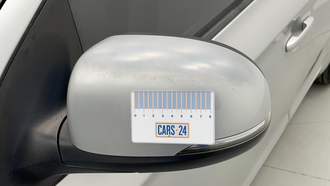 Side Mirrors Housing LHS Paint blemish