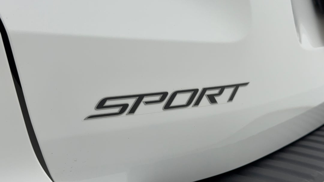 Badge (Boot Left Side)