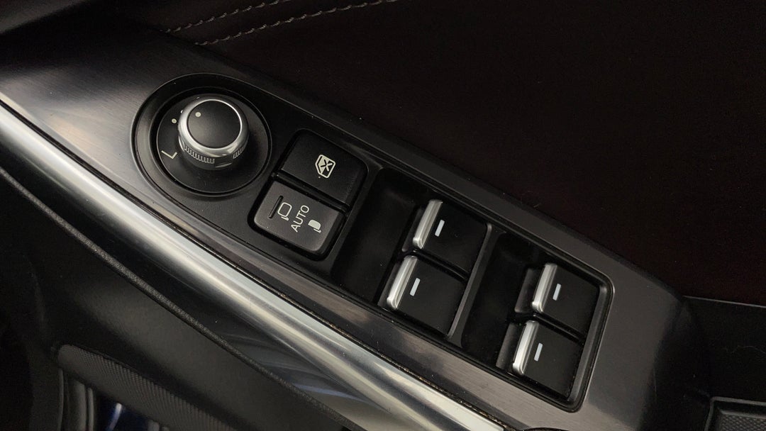 Drivers Side Door Panel Controls