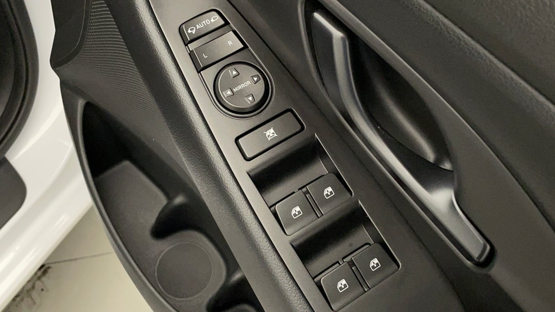 Drivers Side Door Panel Controls