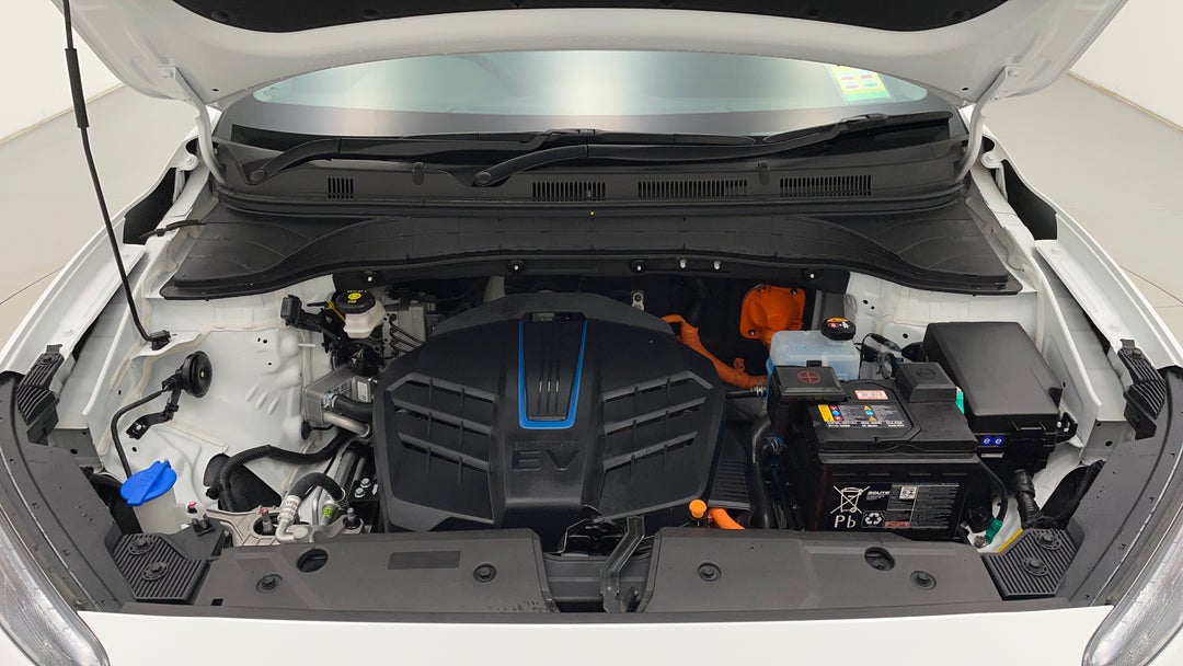 Open Bonnet (Engine)