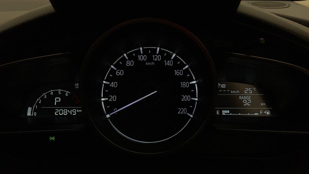 Odometer View