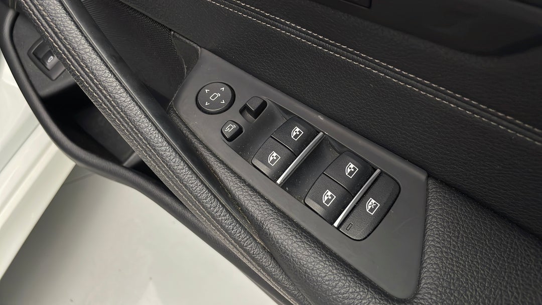 Drivers Side Door Panel Controls