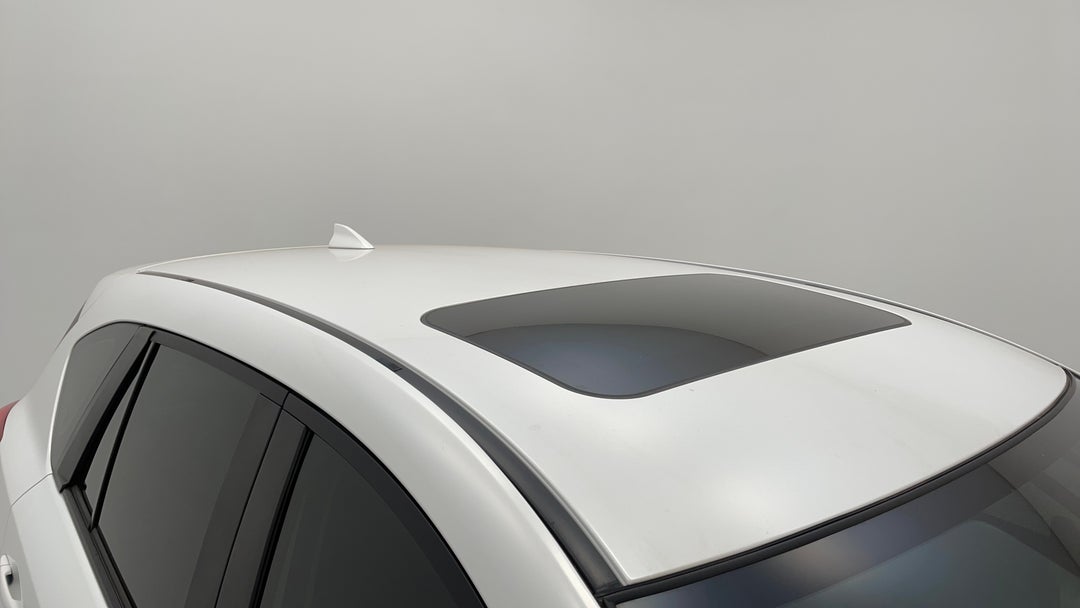 Roof/Sunroof View