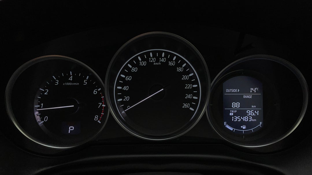 Odometer View