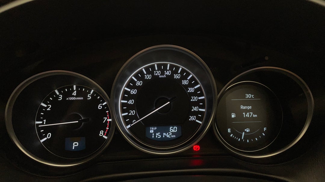Odometer View