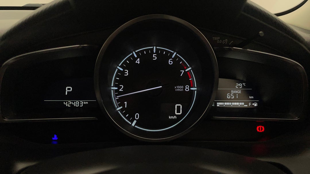 Odometer View