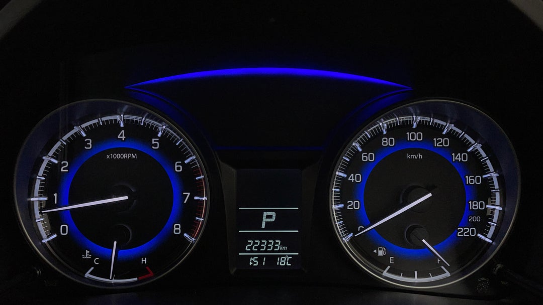 Odometer View