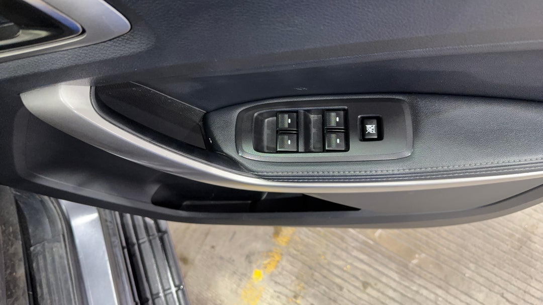 Drivers Side Door Panel Controls