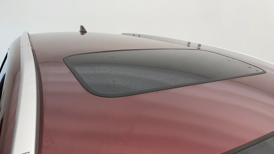 Roof/Sunroof View