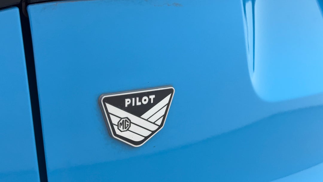 Badge (Boot Left Side)