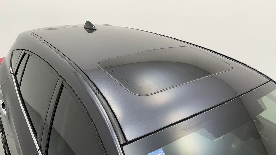 Roof/Sunroof View