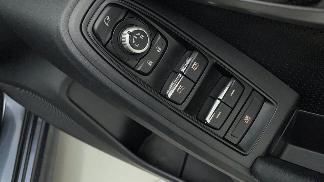 Drivers Side Door Panel Controls