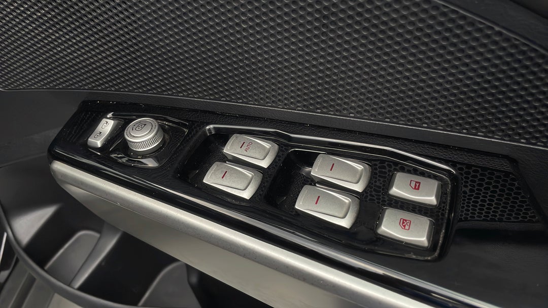 Drivers Side Door Panel Controls