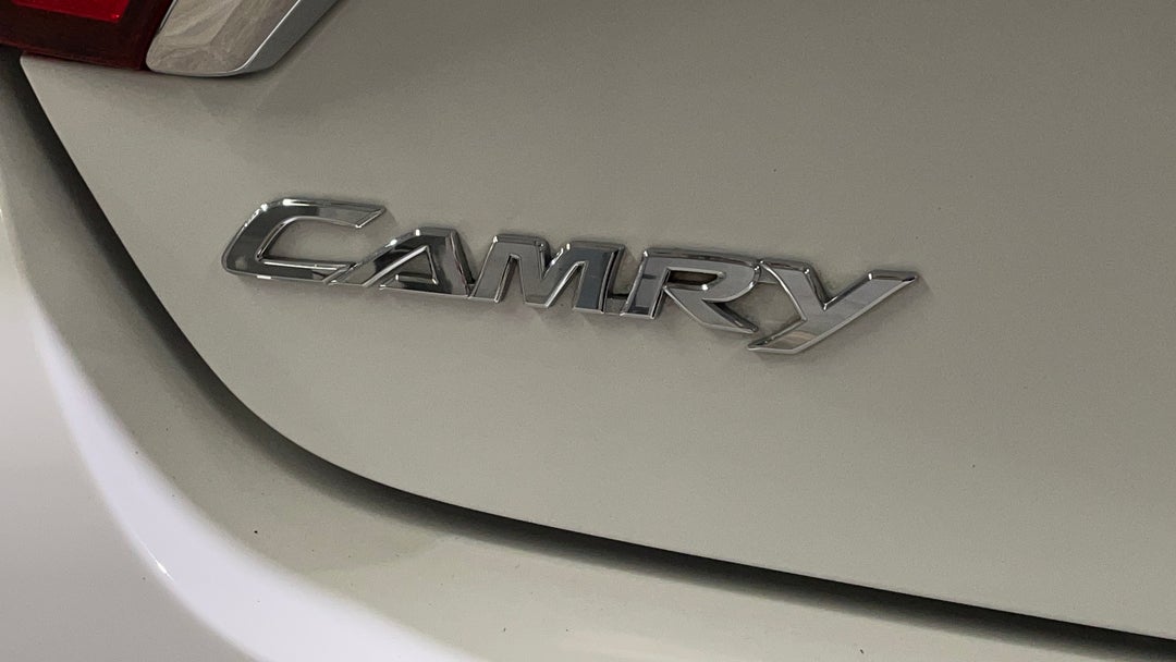 Badge (Boot Left Side)