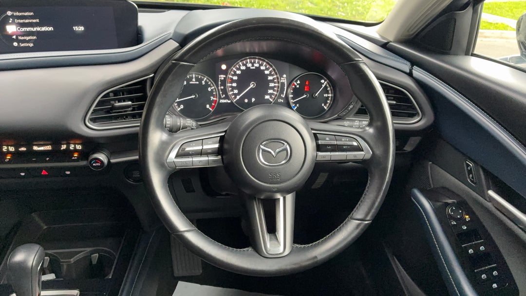 Steering Wheel Close-up