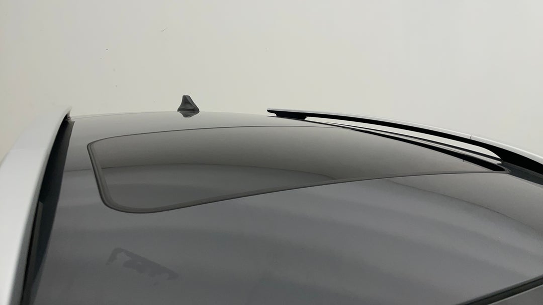 Roof/Sunroof View