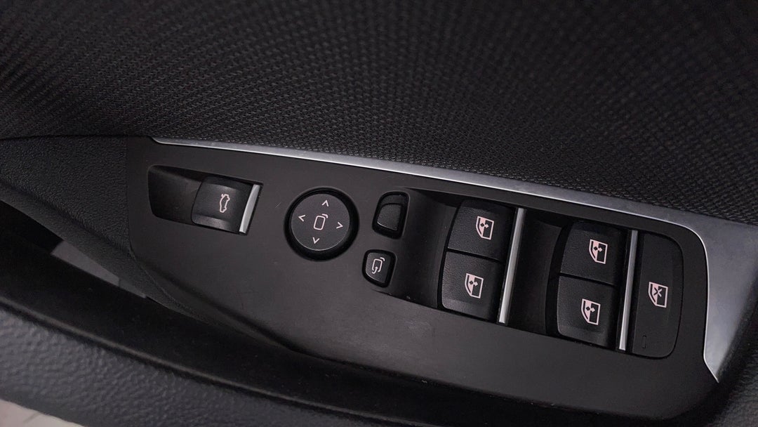 Drivers Side Door Panel Controls