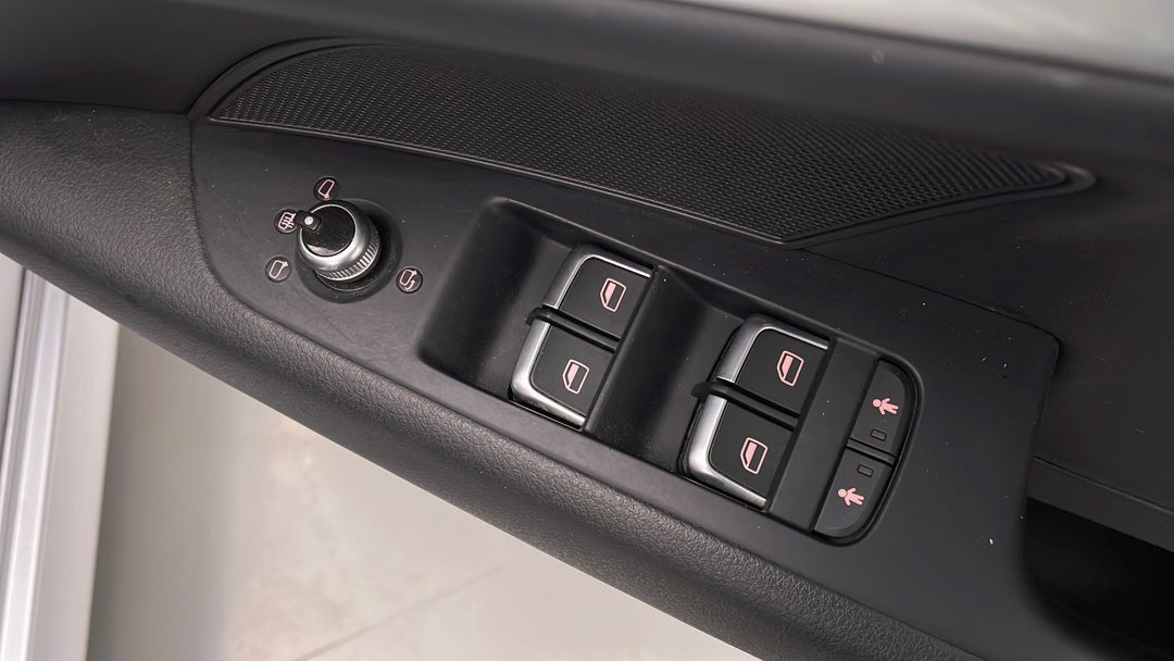 Drivers Side Door Panel Controls