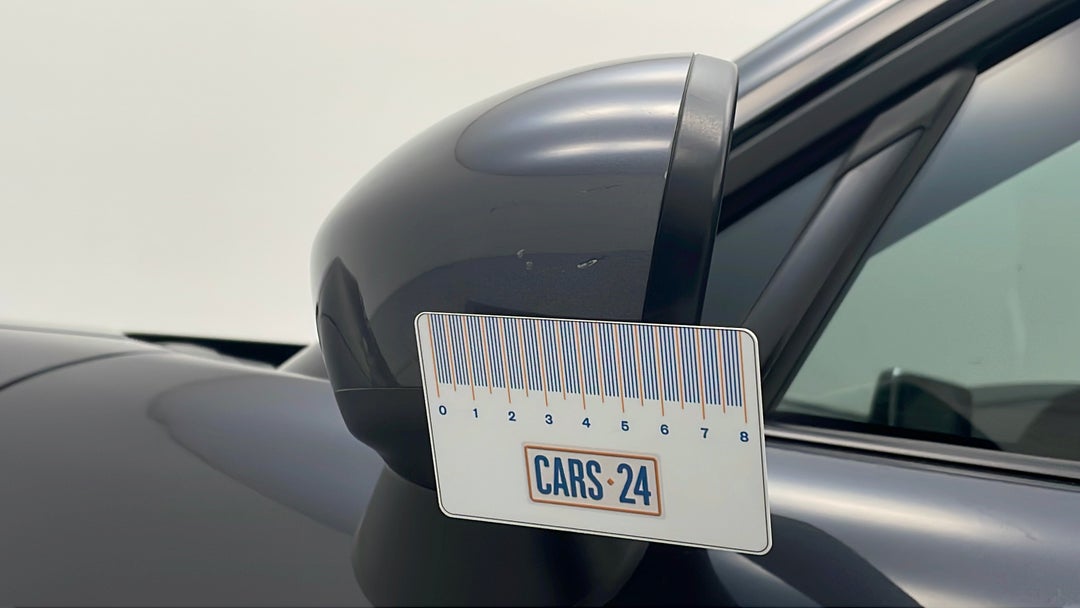 Side Mirrors Housing LHS Chip