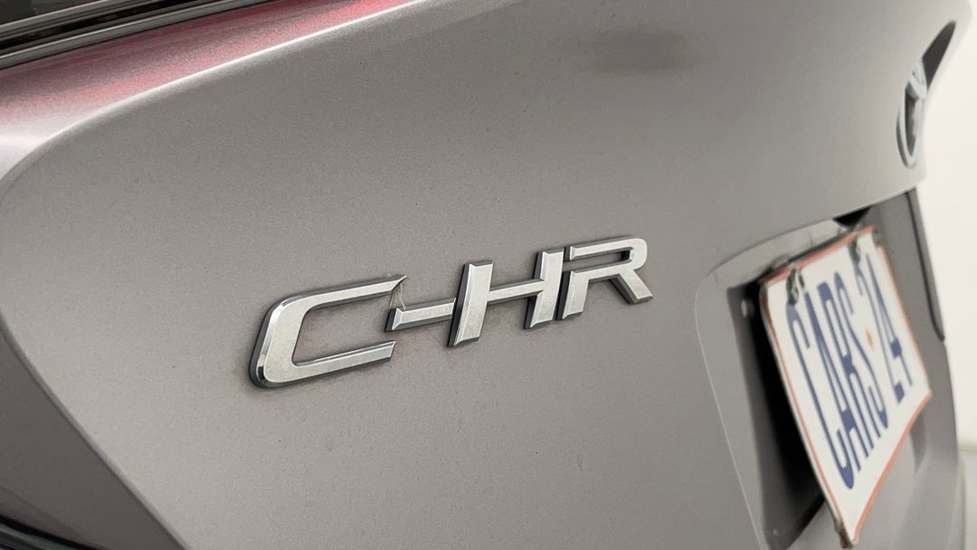 Badge (Boot Left Side)