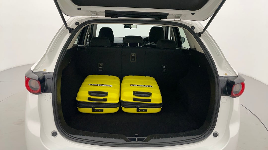 Boot Inside View with Luggage