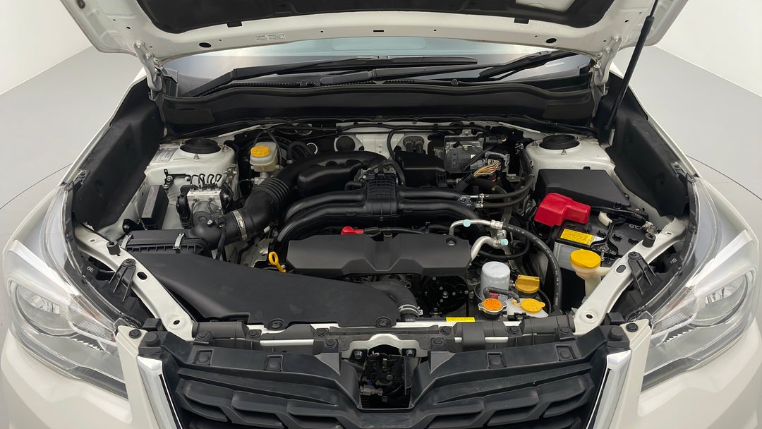 Open Bonnet (Engine)