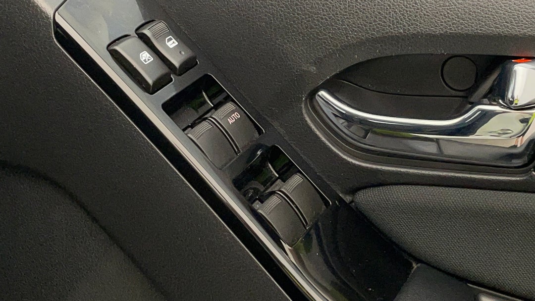 Drivers Side Door Panel Controls