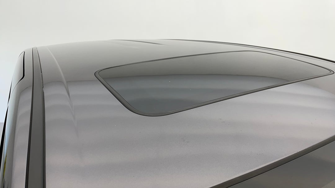 Roof/Sunroof View