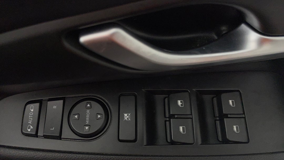 Drivers Side Door Panel Controls