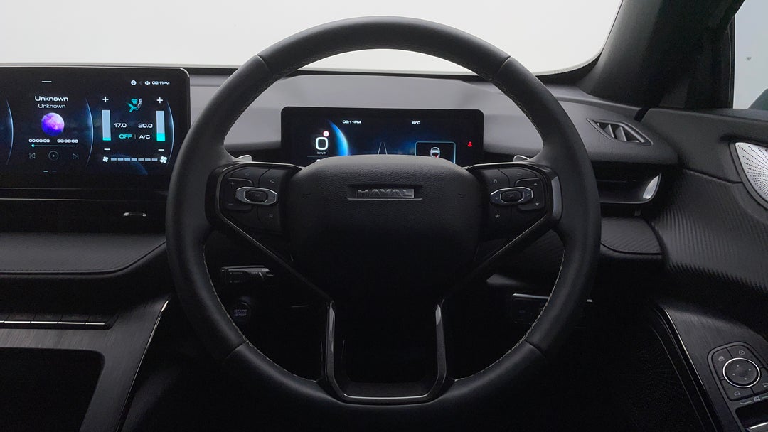 Steering Wheel Close-up