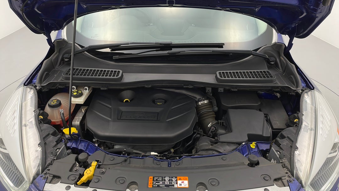 Open Bonnet (Engine)