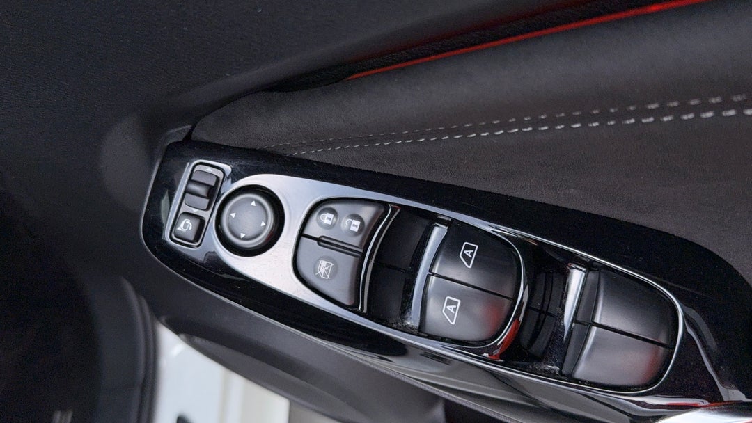 Drivers Side Door Panel Controls