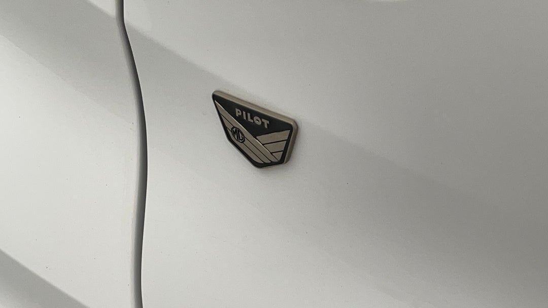 Badge (Boot Left Side)