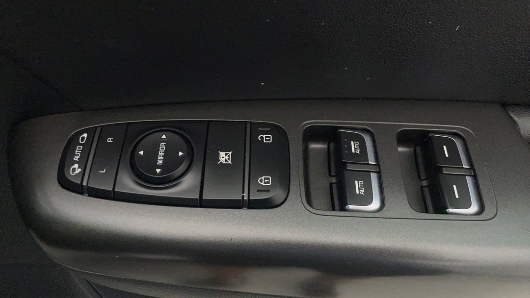 Drivers Side Door Panel Controls