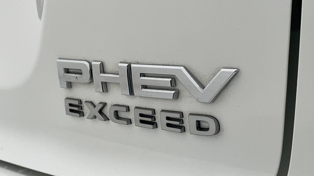 Badge (Boot Right Side)