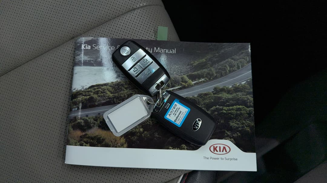 2019 Kia Carnival Sli, Automatic, 95917 km, Key Close-up