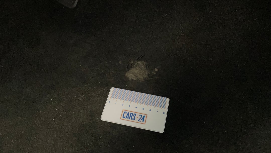 Floors / Carpets Wear