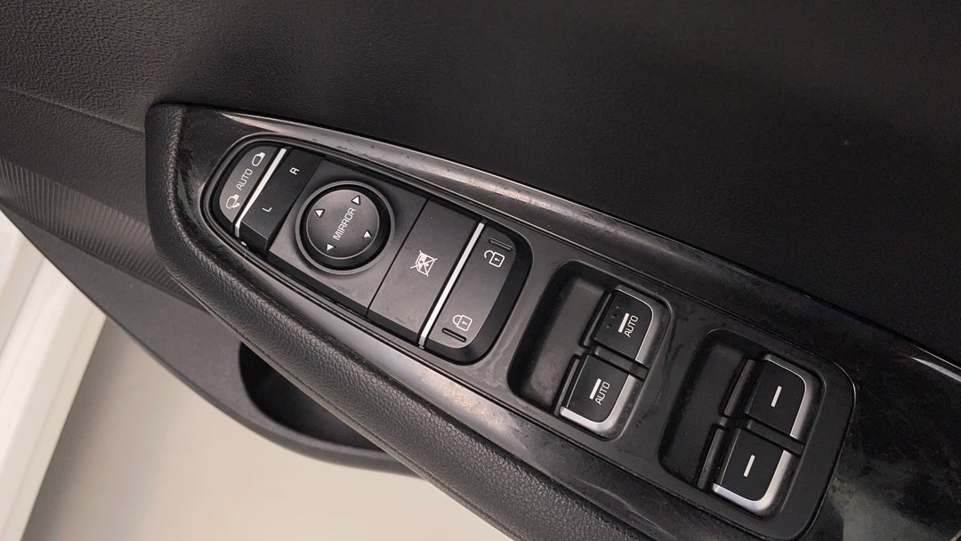 Drivers Side Door Panel Controls