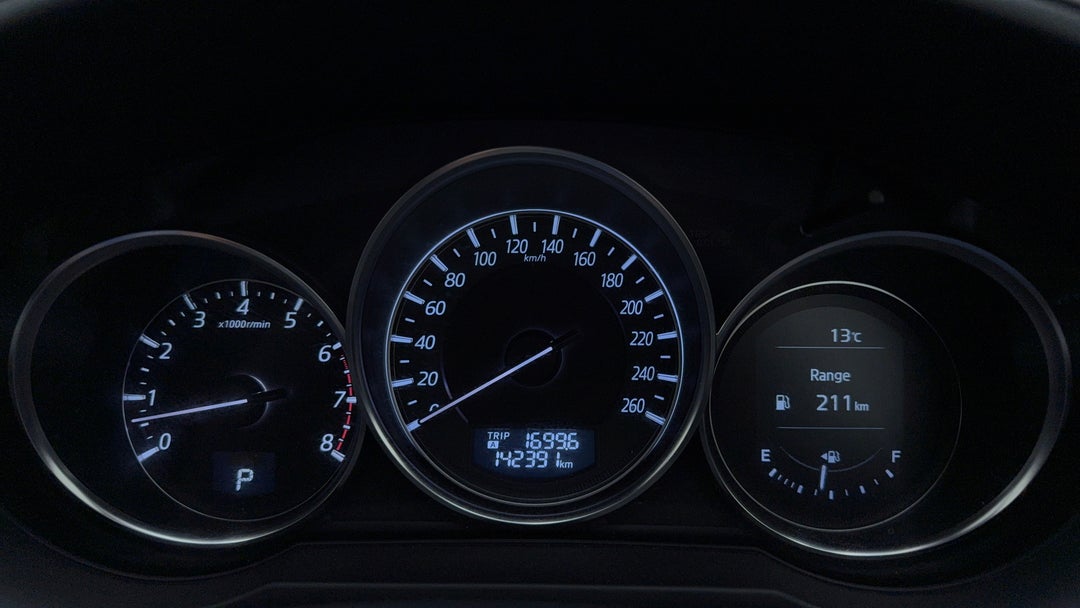 Odometer View