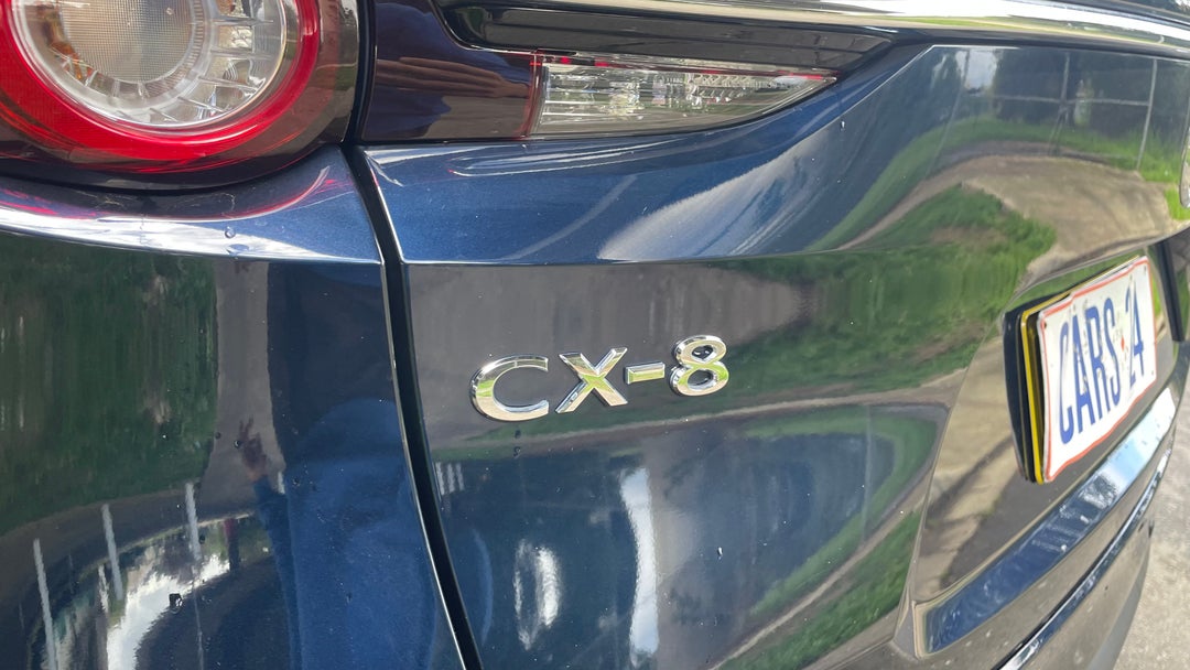 Badge (Boot Left Side)