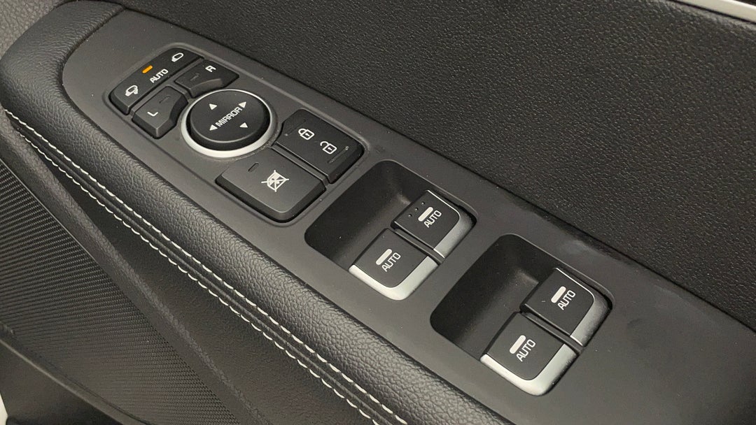 Drivers Side Door Panel Controls