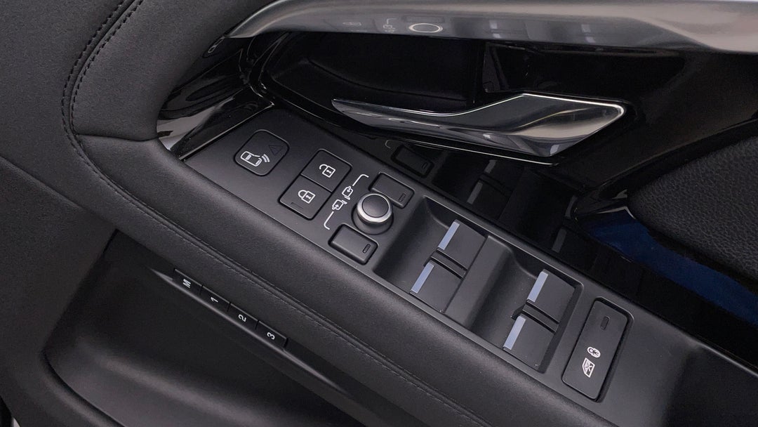 Drivers Side Door Panel Controls