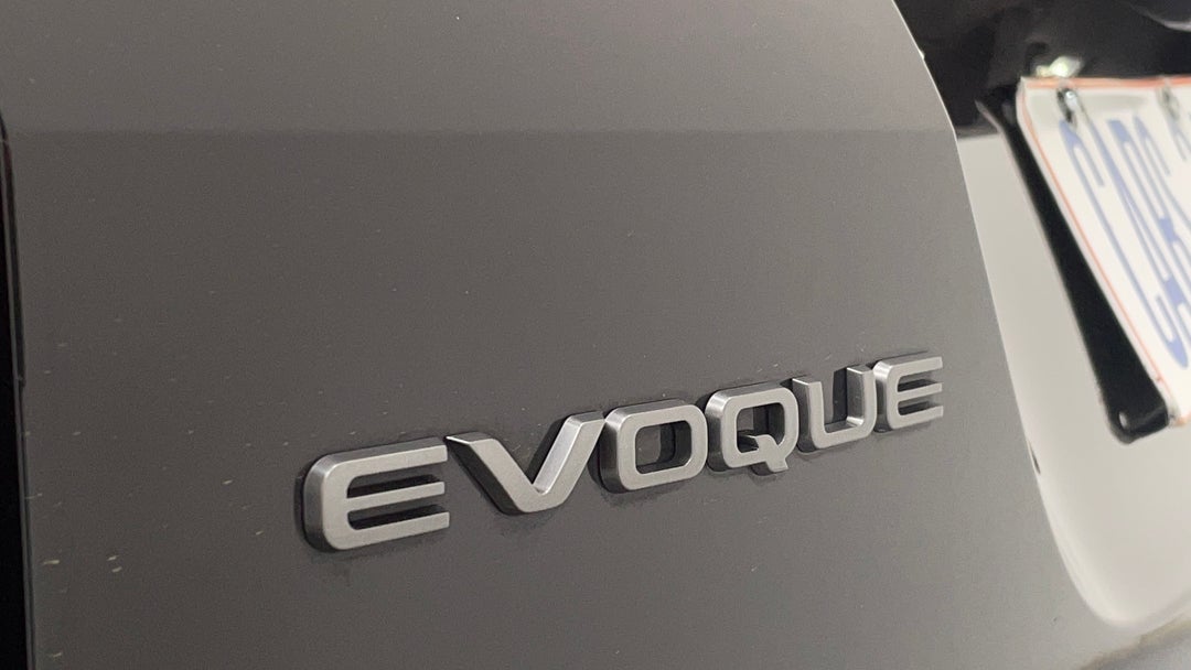 Badge (Boot Left Side)