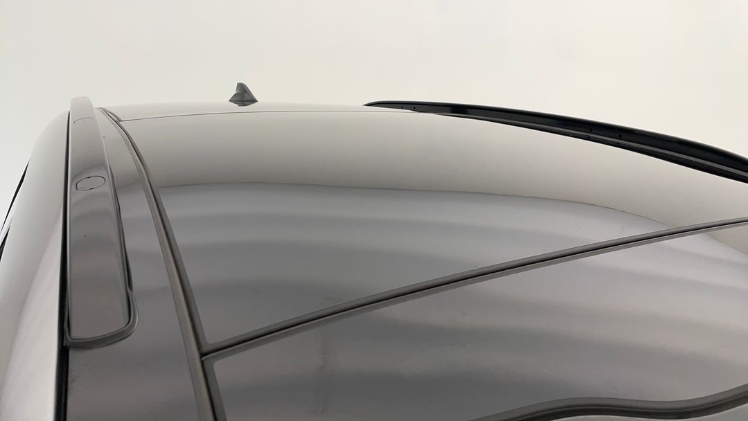 Roof/Sunroof View